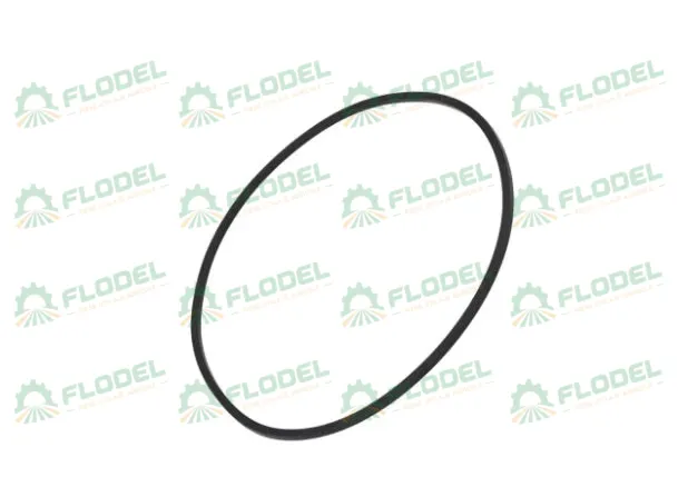 Oring CASE IH 401724R1