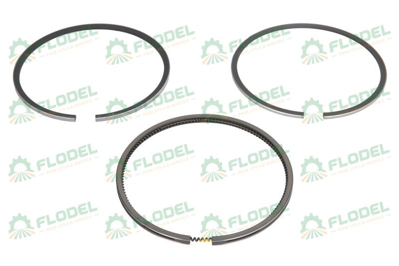 Set segmenti motor CASE IH 3139594R91 GOETZE