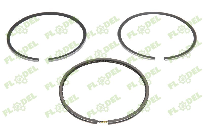 Set segmenti motor CASE IH 3139594R91 GOETZE