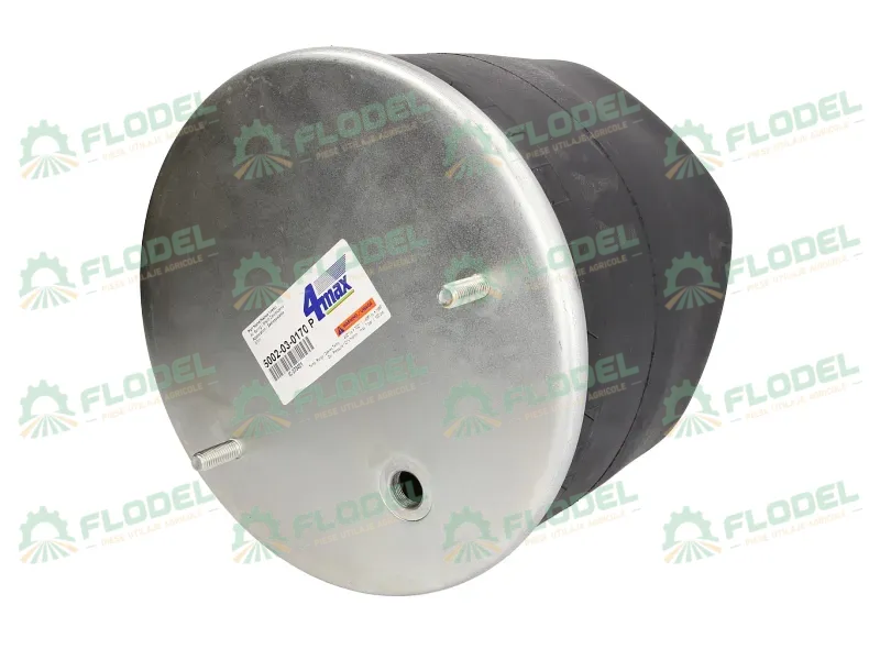 Burduf de suspensie pneumatica cu piston 05.429.43.41.0