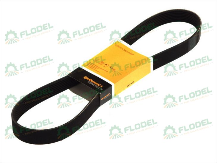 Curea accesorii 8PK FENDT F731200040010 CONTINENTAL
