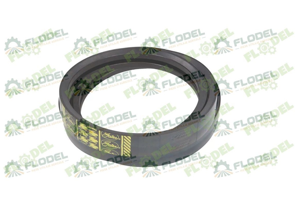 Curea combina CLAAS 2HB 670724 GATES