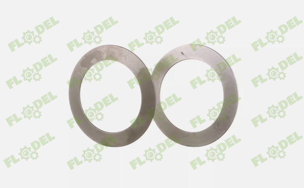 Saiba conica 5168346