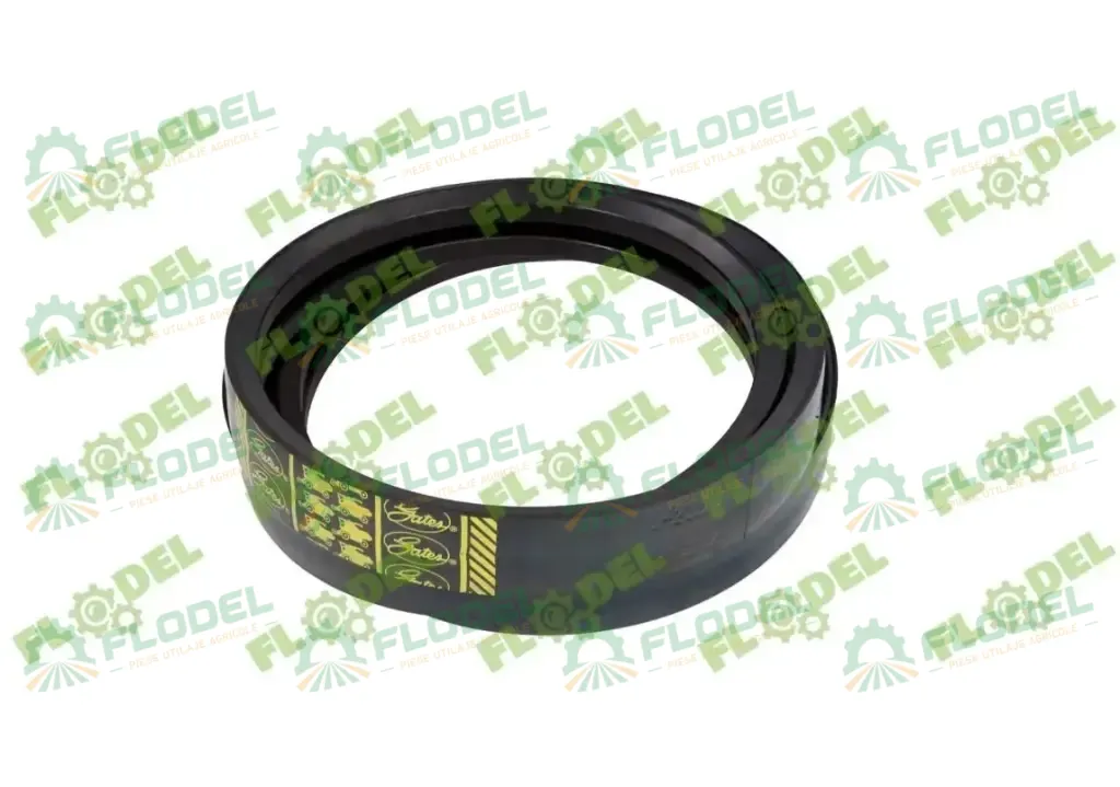 Curea combina CLAAS 2HB 554086 GATES