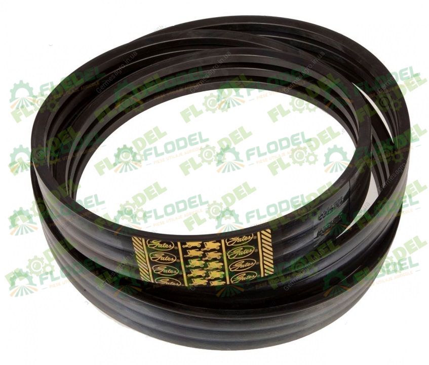 Curea multipla CLAAS 603354 [4HB] GATES