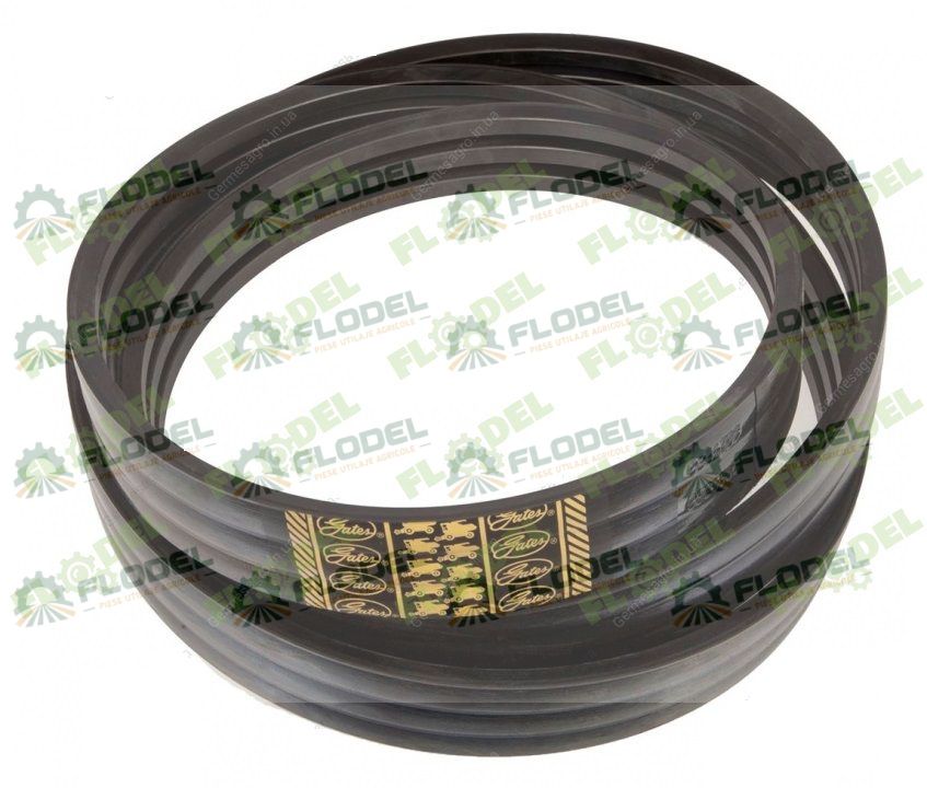 Curea multipla CLAAS 603354 [4HB] GATES