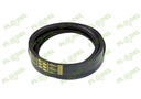 Curea combina CLAAS 672351 [2HB ] GATES