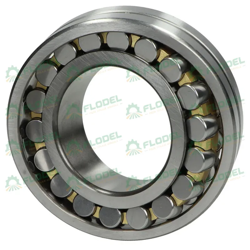 Rulment FAG 20213 K C3