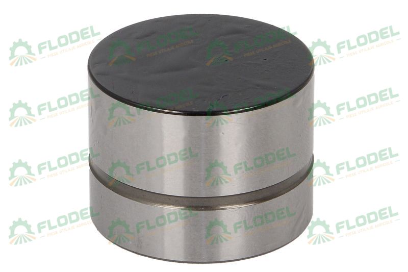 Supapa culbutor 420 0209 10