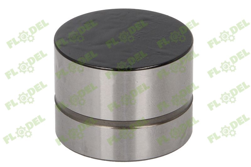 Supapa culbutor 420 0209 10