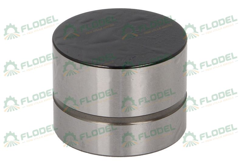 Supapa culbutor 420 0209 10