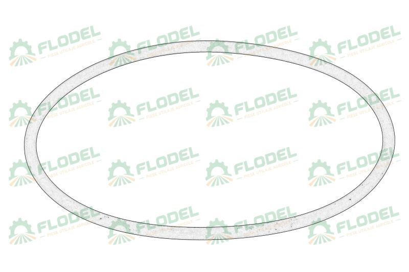 Inel 14460680 Original CNH