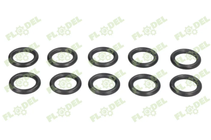 Oring injector CASE IH 717203R1