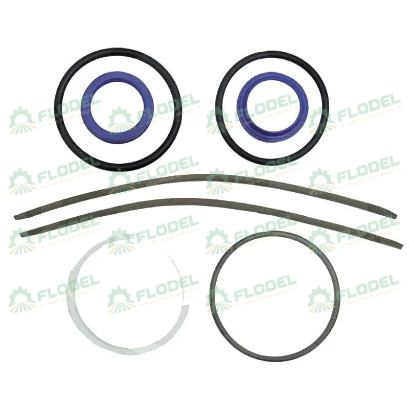 Kit reparatie cilindru directie CASE IH 3399509R2