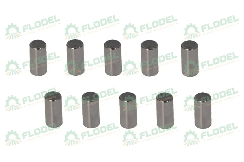 Kit rola 6000103365 [10 buc]