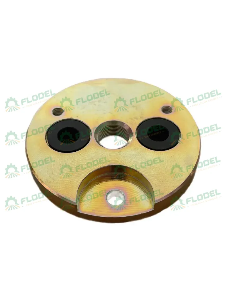Disc motoras variator CLAAS 644359