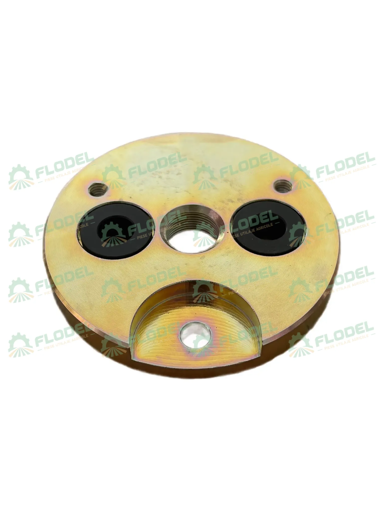 Disc motoras variator CLAAS 644359