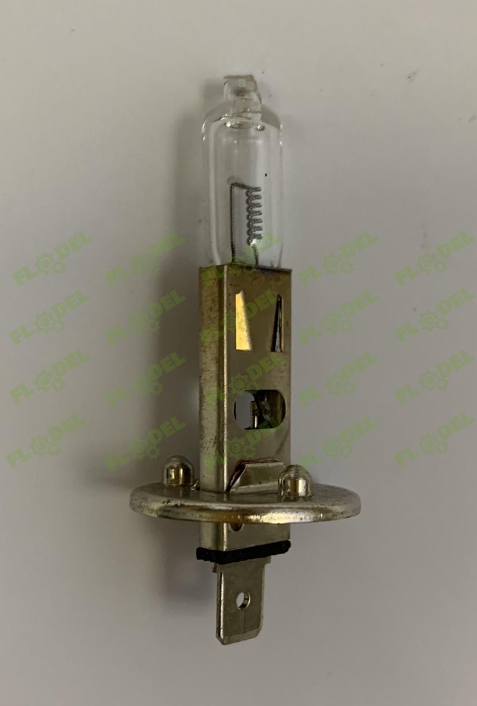 Bec  - H1 24V