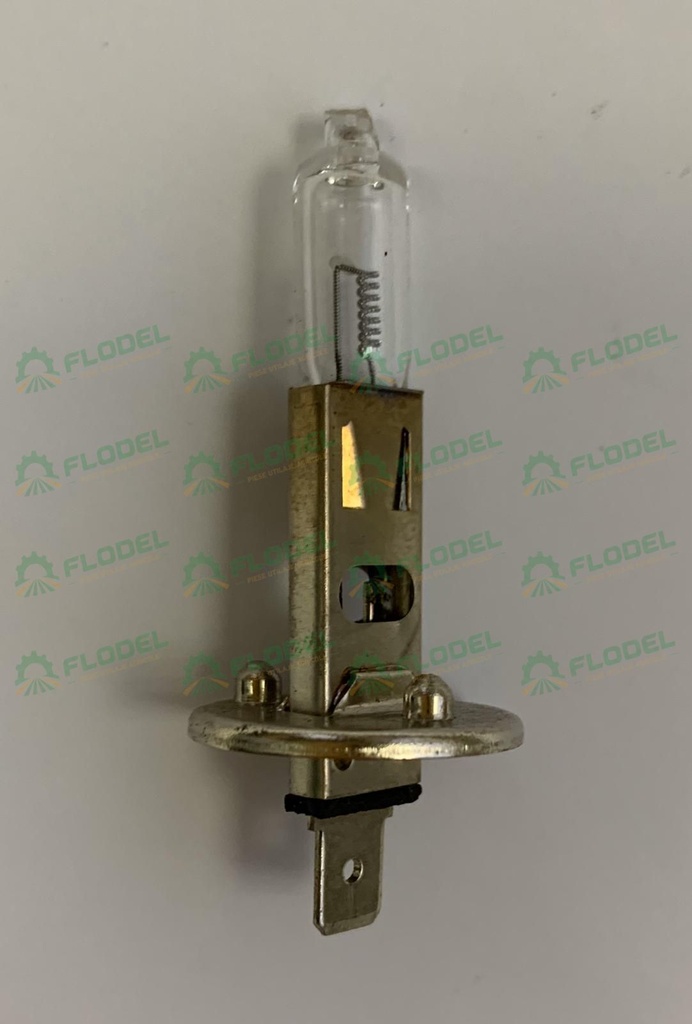 Bec  - H1 24V