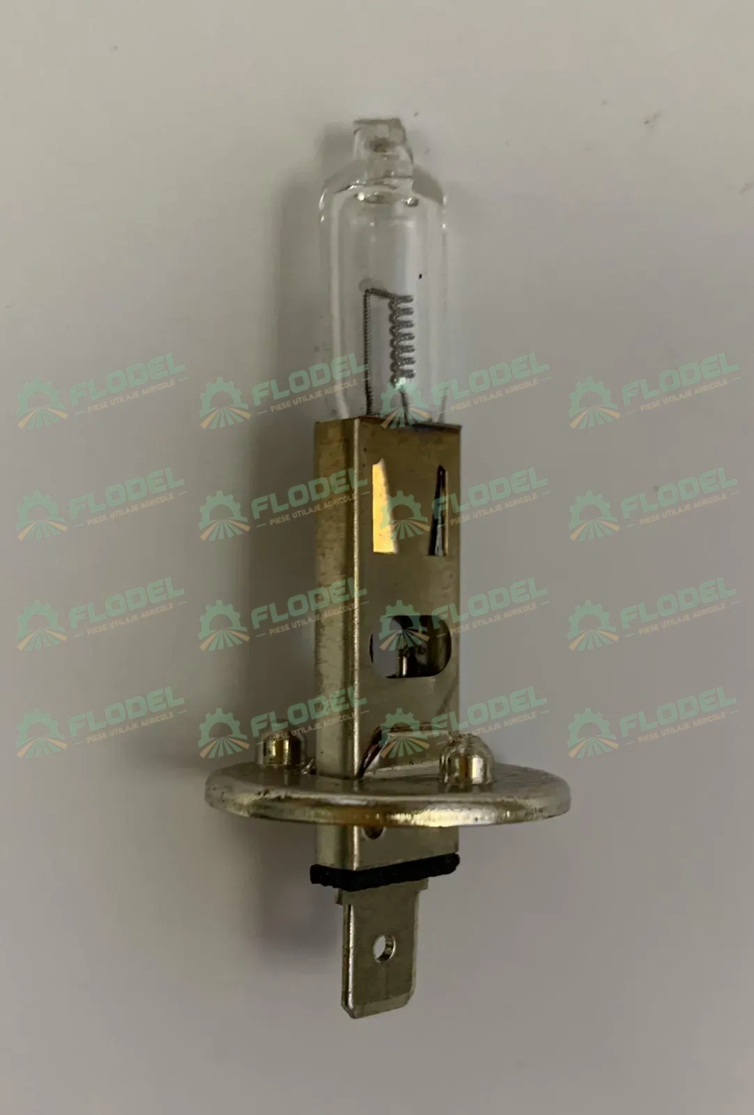 Bec  - H1 24V