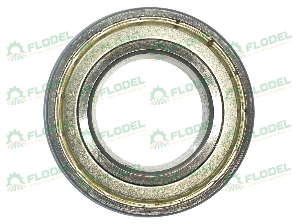 Rulment WBF - 6007 ZZ