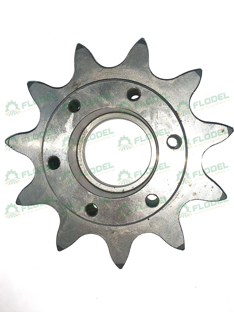Pinion kit floarea soarelui CAPELLO [Z11] 