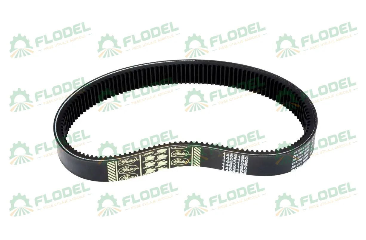 Curea variator rabator CLAAS 670224 GATES