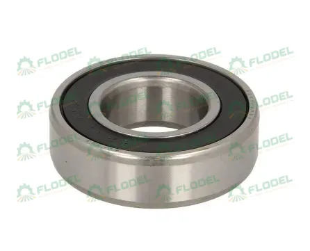 Rulment 6205 2RS C3 [FAG]