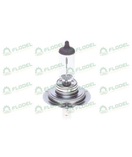 [FLO00136] Bec  H7 12V 55W BOSCH