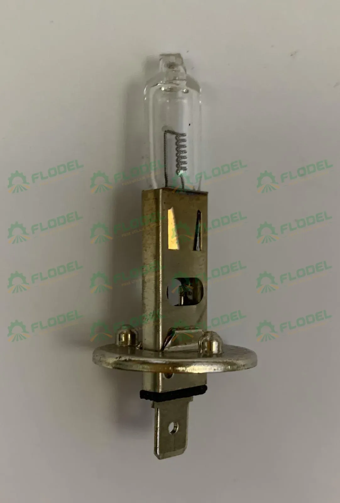 [FLO00160] Bec  - H1 24V