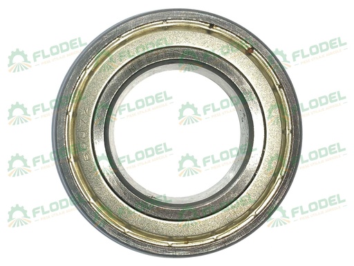 [FLO00247] Rulment WBF - 6007 ZZ