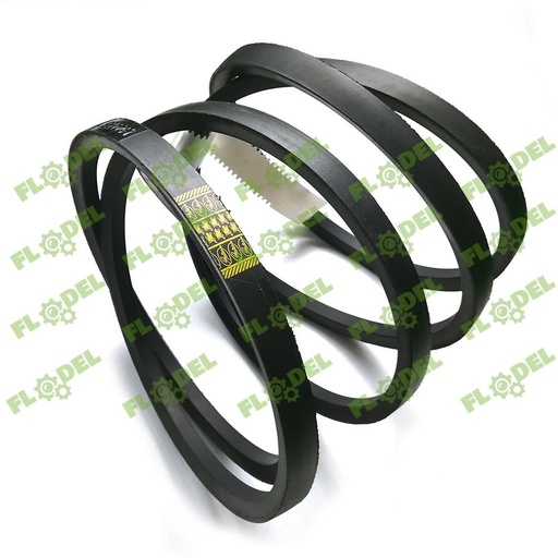 [FLO00317] Curea combina CLAAS 644369 Optibelt