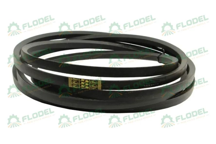 [FLO00324] Curea combina CLAAS 629402 GATES