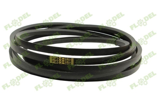 [FLO00324] Curea combina CLAAS 629402 GATES