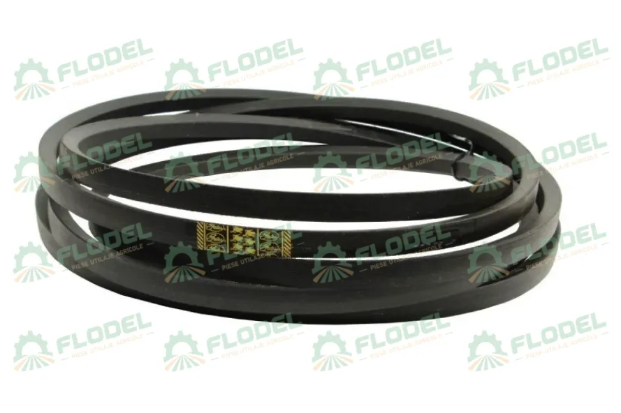 [FLO00324] Curea combina CLAAS 629402 GATES