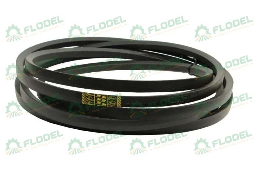 [FLO00324] Curea combina CLAAS 629402 GATES