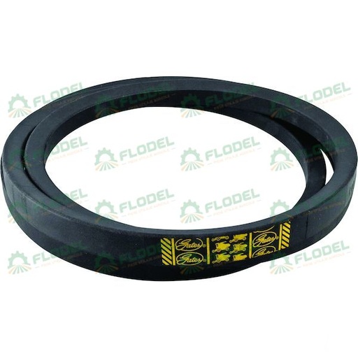 [FLO00331] Curea combina CLAAS 617309 GATES
