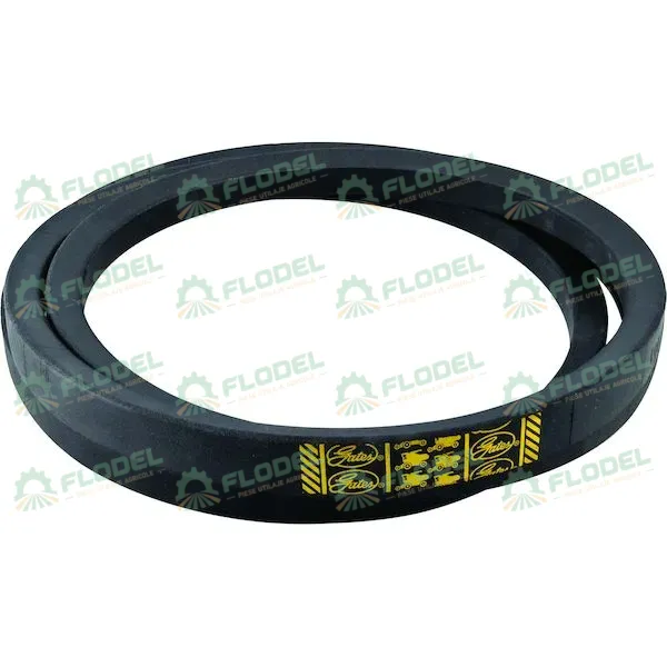 [FLO00331] Curea combina CLAAS 617309 GATES