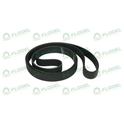 [FLO00340] Curea 86011009