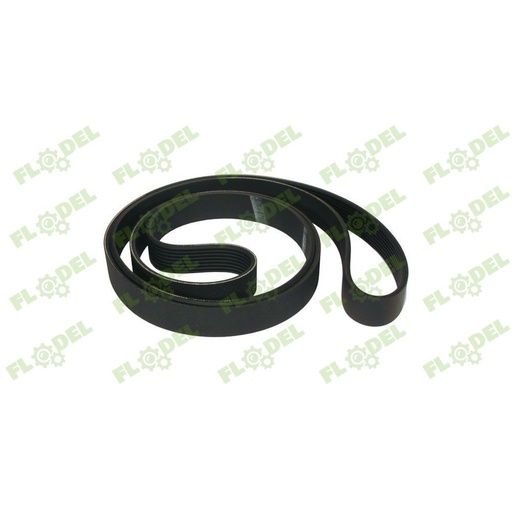 [FLO00340] Curea 86011009