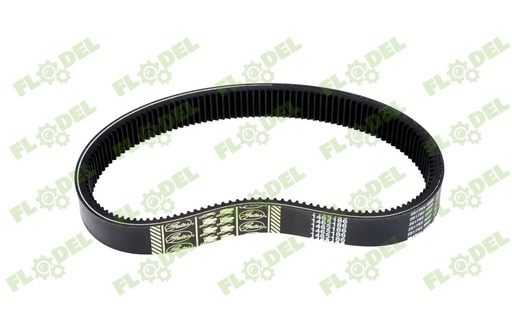[FLO00349] Curea variator rabator CLAAS 670224 GATES