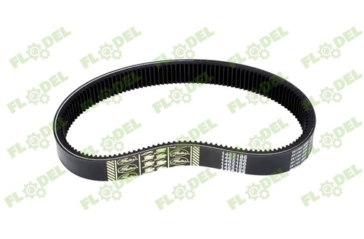 [FLO00349] Curea variator rabator CLAAS 670224 GATES