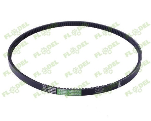 [FLO00351] Curea combina CLAAS 629214 GATES