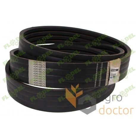 [FLO00354] Curea 352371 Unibelt