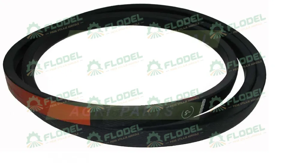 [FLO00356] Curea combina CLAAS 653063 GATES