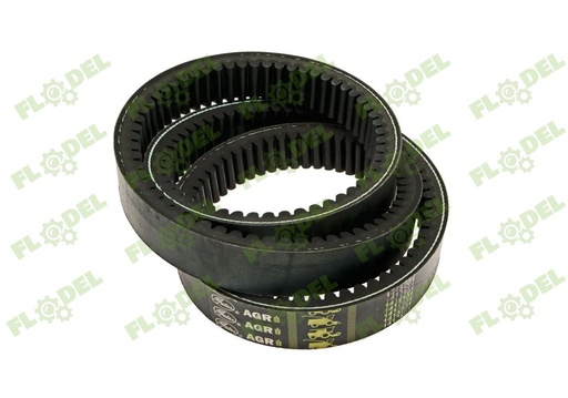 [FLO00366] Curea combina CLAAS 629035 GATES