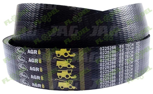 [FLO00367] Curea 667680 Gates