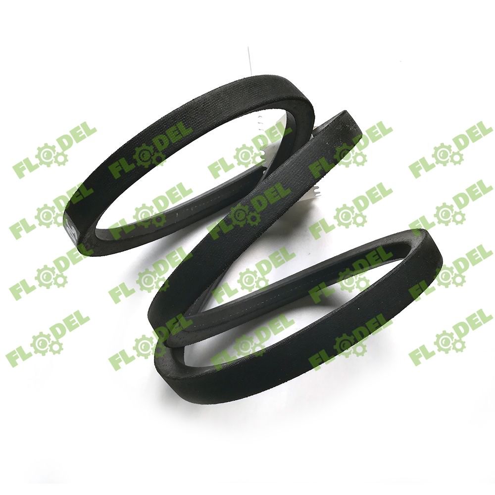 [FLO00369] Curea combina CLAAS 603341 GATES