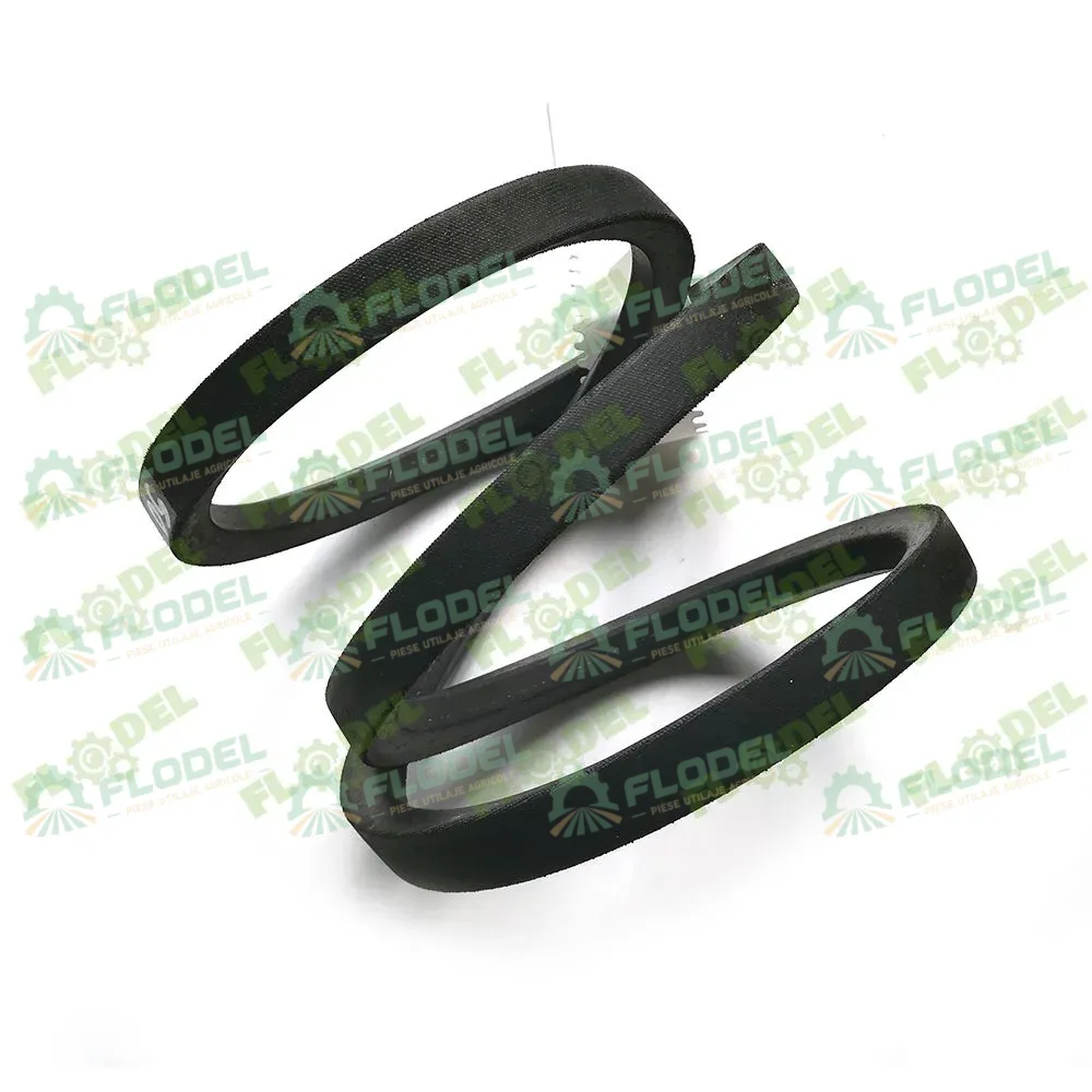 [FLO00369] Curea combina CLAAS 603341 GATES