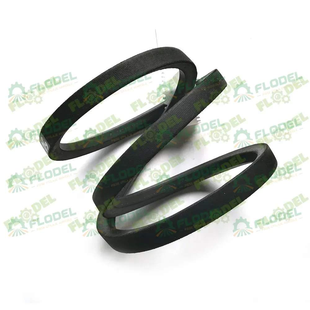[FLO00369] Curea combina CLAAS 603341 GATES